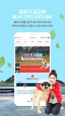 하트독 - 애견동반여행, 제주도여행, 애견호텔, 애견펜션 android App screenshot 4