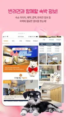 하트독 - 애견동반여행, 제주도여행, 애견호텔, 애견펜션 android App screenshot 5